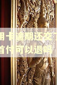 信用卡逾期还交了房子首付可以退吗