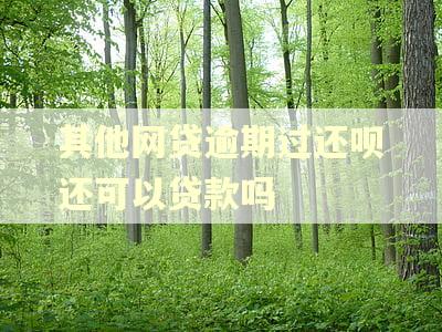 其他网贷逾期过还呗还可以贷款吗