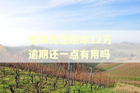 借呗先息后本12万逾期还一点有用吗