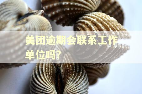 美团逾期会联系工作单位吗?