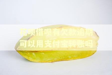 花呗借呗有欠款逾期可以用支付宝转账吗