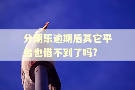 分期乐逾期后其它平台也借不到了吗?