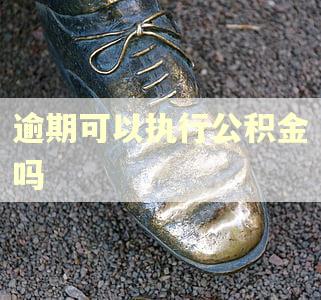 逾期可以执行公积金吗