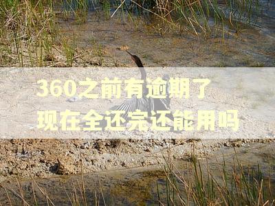 360之前有逾期了现在全还完还能用吗