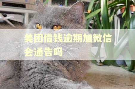 美团借钱逾期加微信会通告吗 美团借钱逾期加微信会通告吗