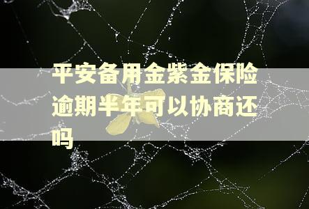 平安备用金紫金保险逾期半年可以协商还吗