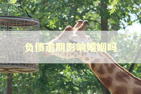 负债逾期影响婚姻吗 负债逾期影响婚姻吗