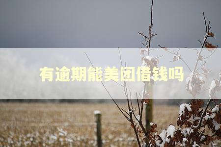 有逾期能美团借钱吗