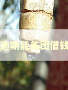 有逾期能美团借钱吗