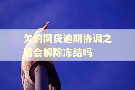 欠的网贷逾期协调之后会解除冻结吗