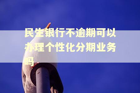 民生银行不逾期可以办理个性化分期业务吗