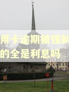 信用卡逾期被强制划扣的全是利息吗