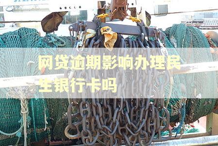 网贷逾期影响办理民生银行卡吗