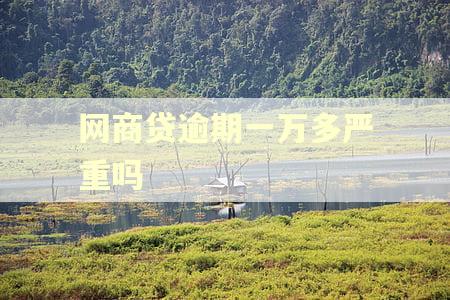 网商贷逾期一万多严重吗