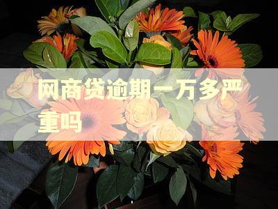 网商贷逾期一万多严重吗