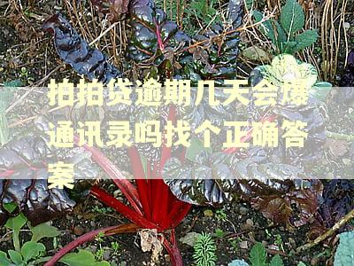 拍拍贷逾期几天会爆通讯录吗找个正确答案 拍拍贷逾期几天会爆通讯录吗找个正确答案