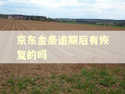 京东金条逾期后有恢复的吗