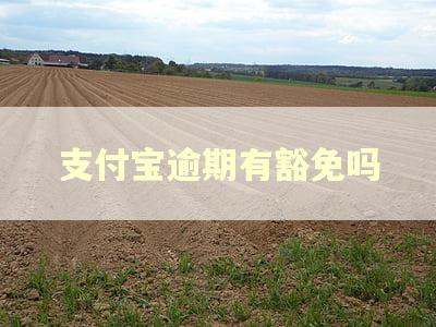 支付宝逾期有豁免吗