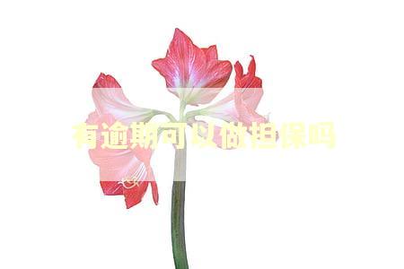 有逾期可以做担保吗