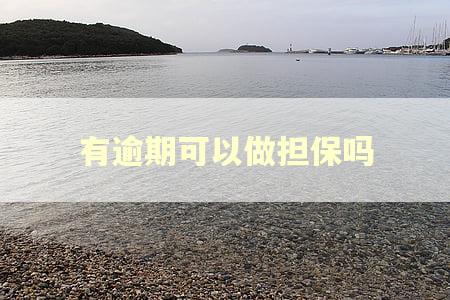 有逾期可以做担保吗