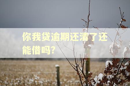 你我贷逾期还清了还能借吗? 你我贷逾期还清了还能借吗?