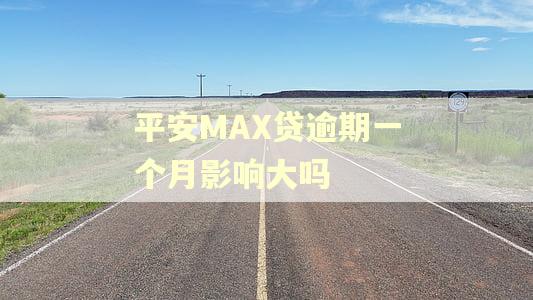 平安MAX贷逾期一个月影响大吗