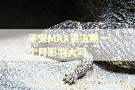 平安MAX贷逾期一个月影响大吗