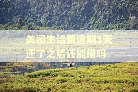 美团生活费逾期1天还了之后还能借吗