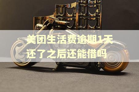 美团生活费逾期1天还了之后还能借吗