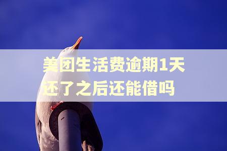 美团生活费逾期1天还了之后还能借吗