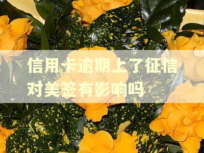 信用卡逾期上了征信对美签有影响吗