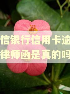 中信银行信用卡逾期发律师函是真的吗