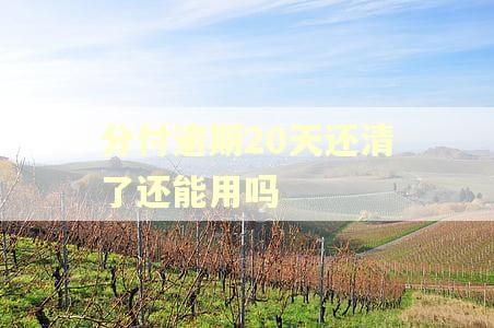 分付逾期20天还清了还能用吗