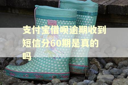 支付宝借呗逾期收到短信分60期是真的吗