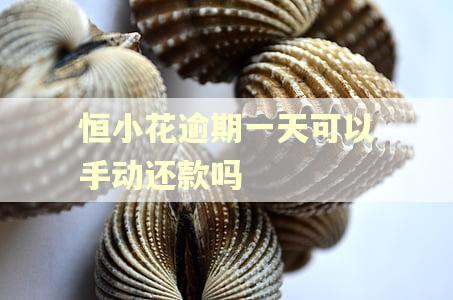 恒小花逾期一天可以手动还款吗