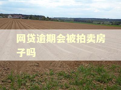 网贷逾期会被拍卖房子吗