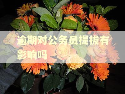 逾期对公务员提拔有影响吗