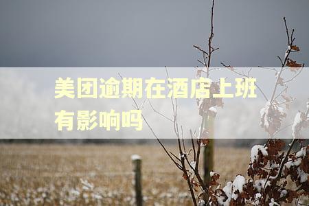 美团逾期在酒店上班有影响吗