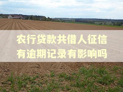 农行贷款共借人征信有逾期记录有影响吗