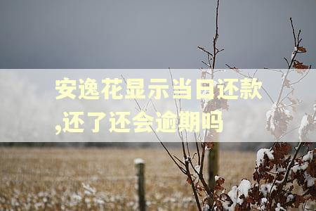 安逸花显示当日还款,还了还会逾期吗