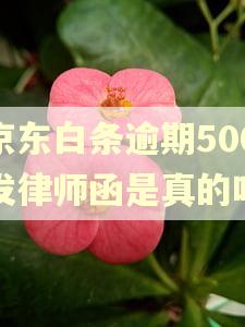 京东白条逾期500发律师函是真的吗