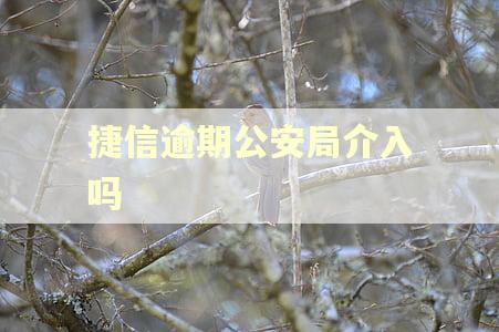 捷信逾期公安局介入吗