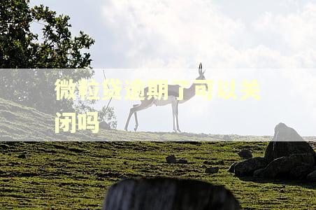 微粒贷逾期了可以关闭吗