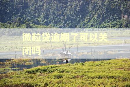 微粒贷逾期了可以关闭吗