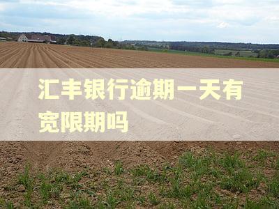 汇丰银行逾期一天有宽限期吗