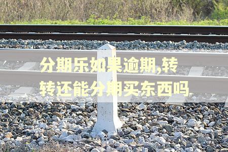 分期乐如果逾期,转转还能分期买东西吗