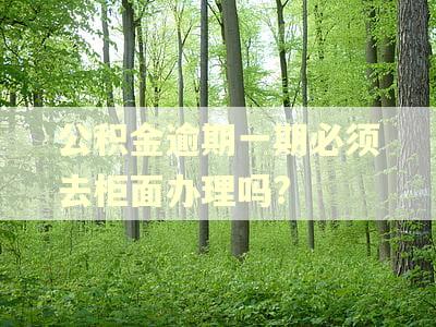 公积金逾期一期必须去柜面办理吗?