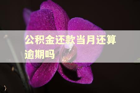 公积金还款当月还算逾期吗 公积金还款当月还算逾期吗