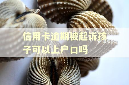 信用卡逾期被起诉孩子可以上户口吗 信用卡逾期被起诉孩子可以上户口吗