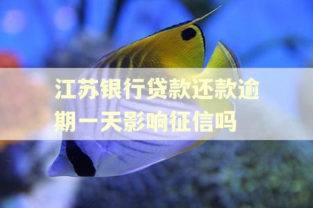 江苏银行贷款还款逾期一天影响征信吗